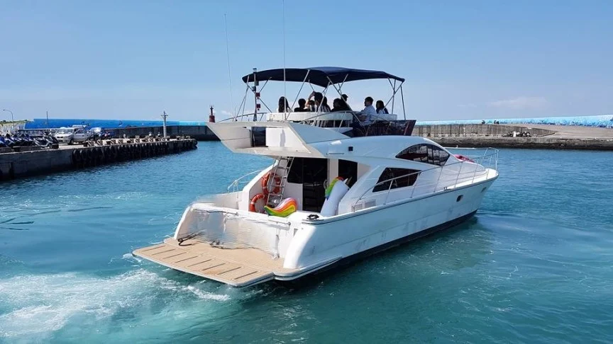 Flycat 1 1
