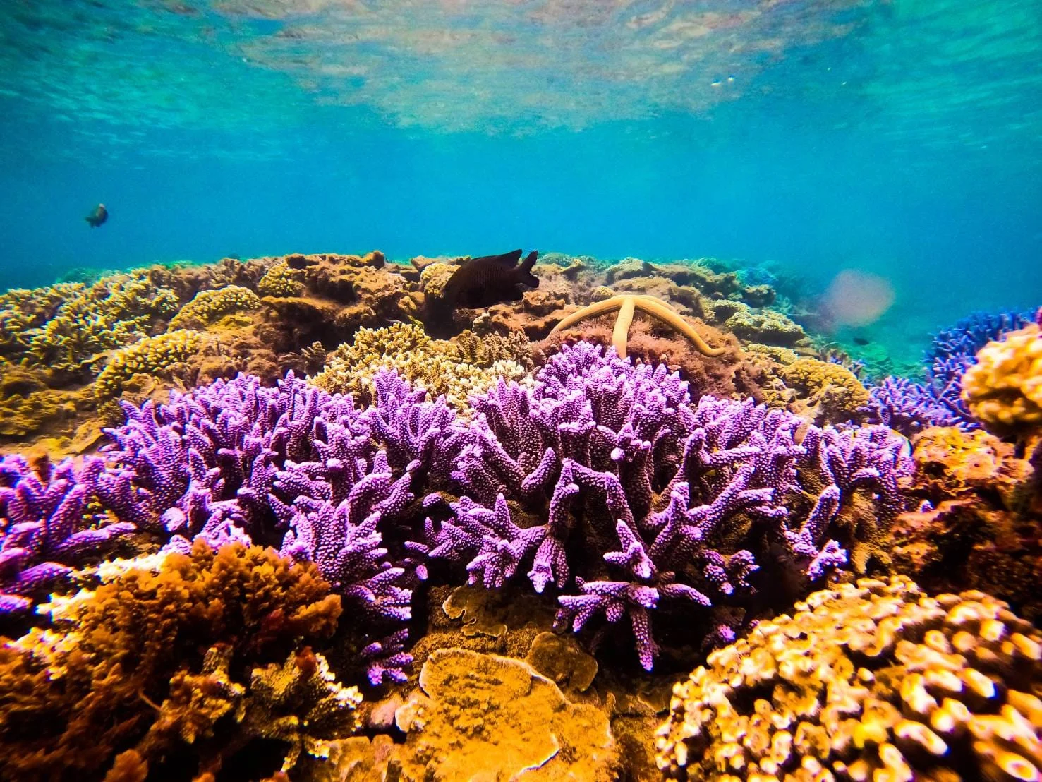 480988267 629107013054565 3879234941044810533 N