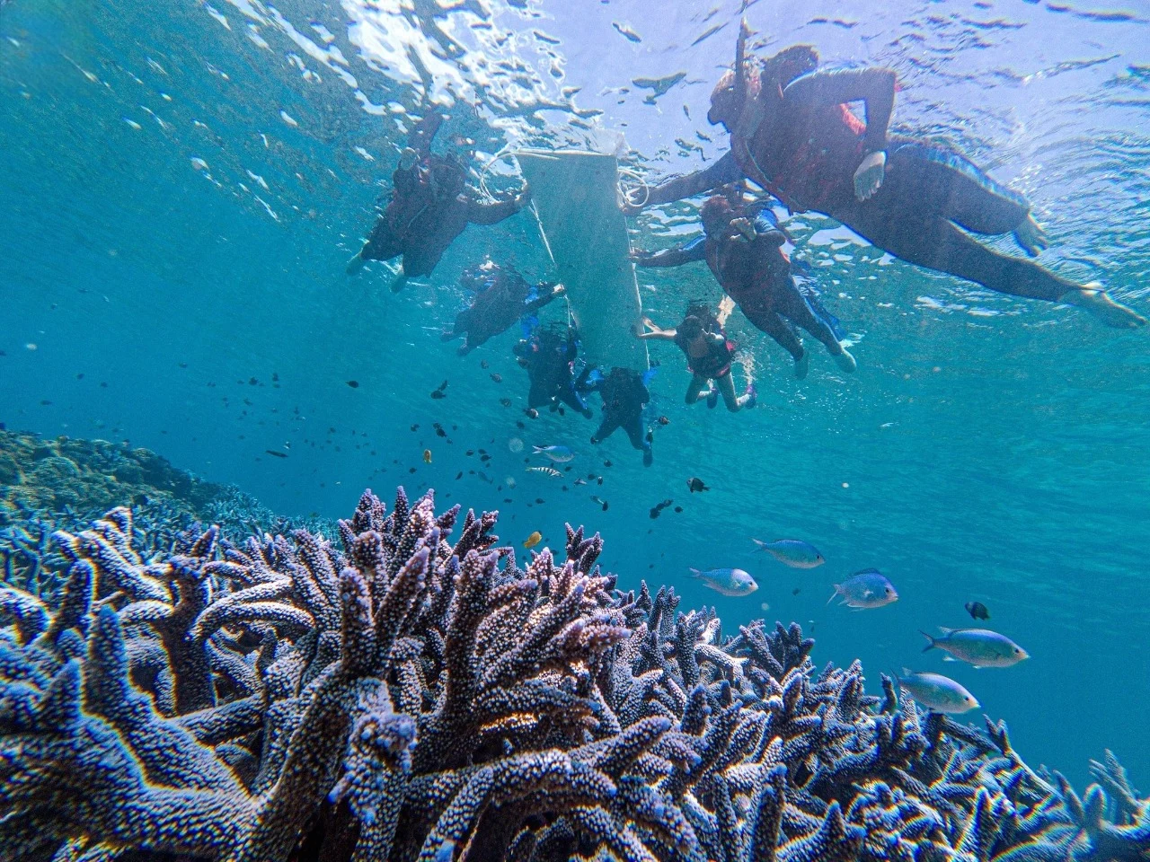 514957161 1176648557813285 5163544728487324849 N