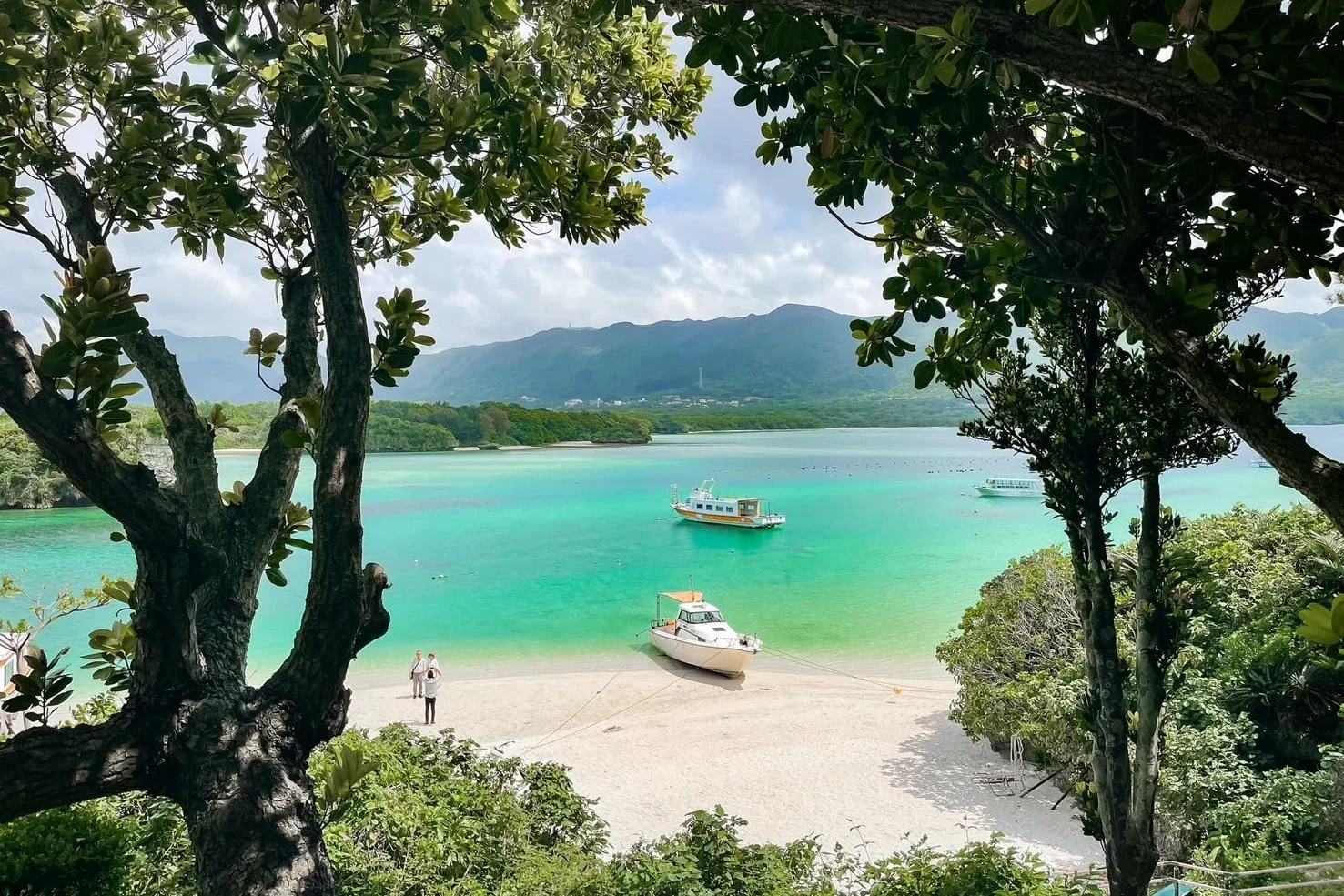 Line Album 石垣島照片 250305 8