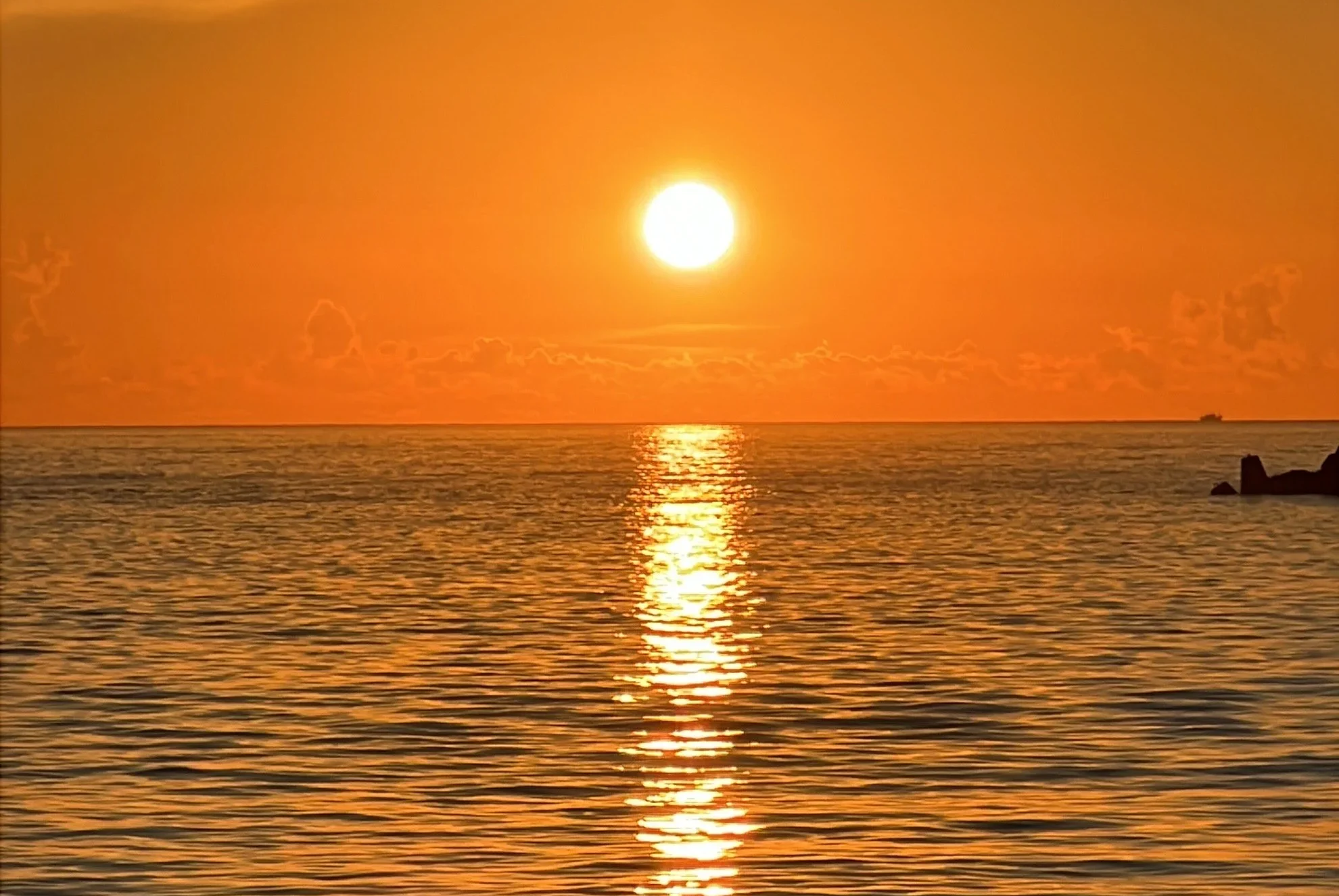 Fdd726aa 5f20 4d4f Aa21 A94f85c141e3 1